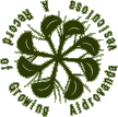 A Record of Growing Aldrovanda vesiculosa